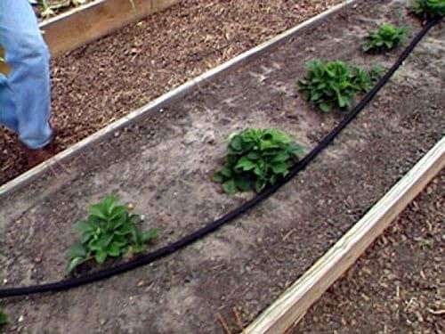 Rocky Mountain Goods 75 Foot Flat Weeper Soaker Hose - Drip Irrigation - Double Layer Design - Saves 70% Water - Consistent Drip Entire Length of Hose - Includes 3 Pressure Reducing Discs (2) - Image 6