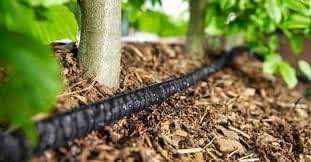 Rocky Mountain Goods 75 Foot Flat Weeper Soaker Hose - Drip Irrigation - Double Layer Design - Saves 70% Water - Consistent Drip Entire Length of Hose - Includes 3 Pressure Reducing Discs (2) - Image 8
