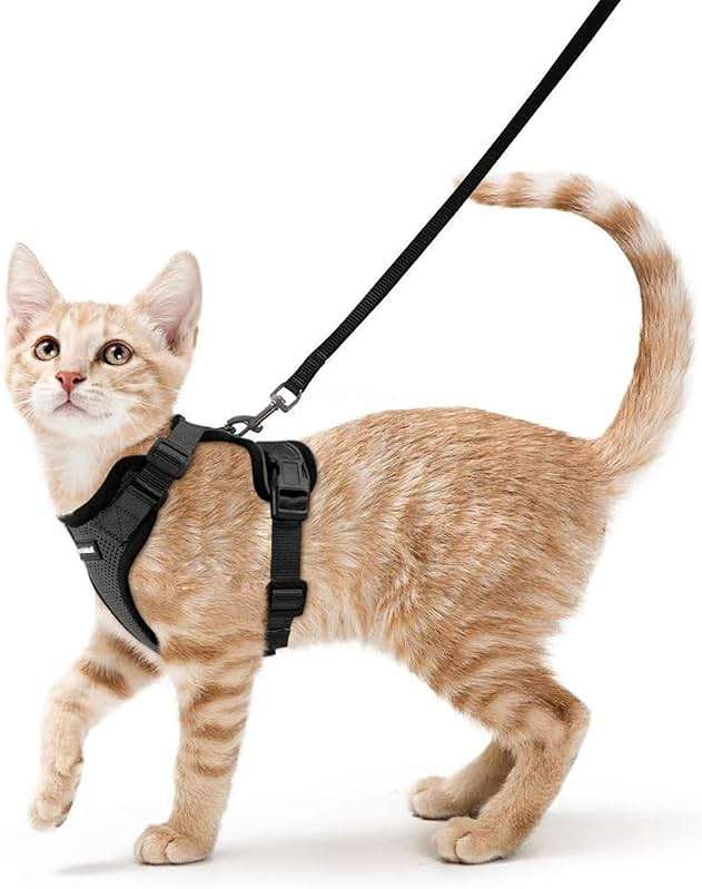 rabbitgoo Cat Harness and Leash for Walking, Escape Proof Soft Adjustable Vest Harnesses for Cats, Easy Control Breathable Reflective Strips Jacket, Black, XS - Image 1