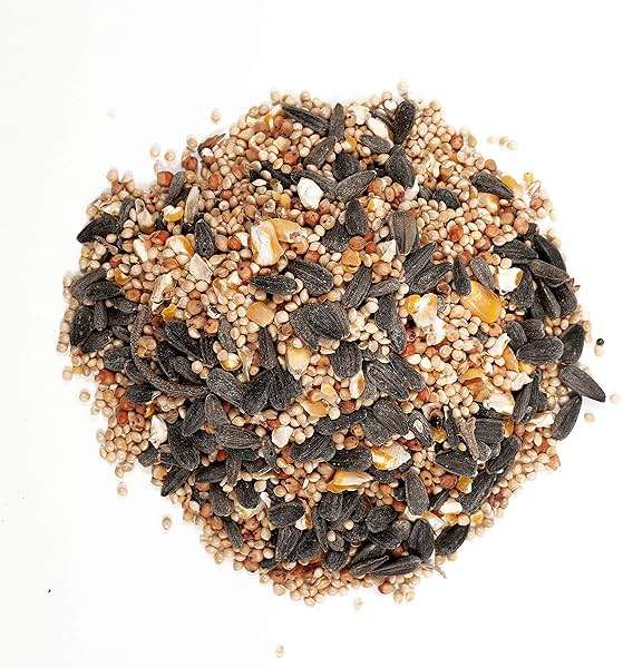 Wagner's 52003 Classic Blend Wild Bird Food, 6-Pound Bag - Image 3