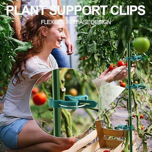 Yinghezu 40 Pcs Plant Support Clips,Flower and Vine,Garden Tomato Plant Support Clips for Supporting Stems,Vines Grow Upright Climbing,Tool for Straightening,Tomato Cage,Trellis. 2 Sizes in one Pack - Image 3