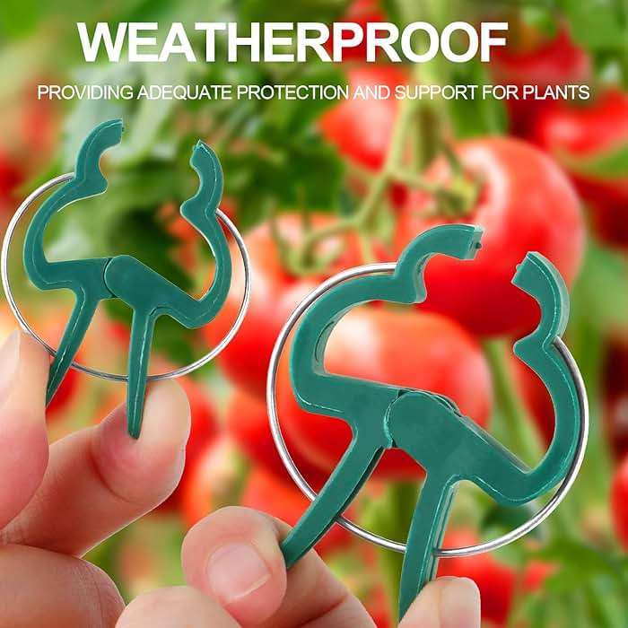 Yinghezu 40 Pcs Plant Support Clips,Flower and Vine,Garden Tomato Plant Support Clips for Supporting Stems,Vines Grow Upright Climbing,Tool for Straightening,Tomato Cage,Trellis. 2 Sizes in one Pack - Image 4