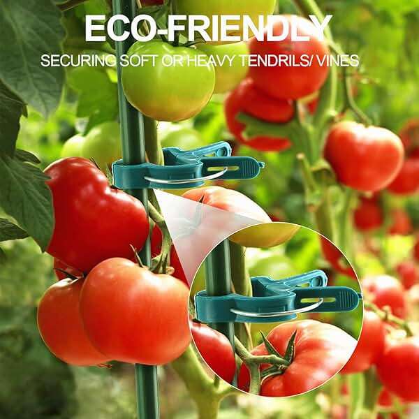 Yinghezu 40 Pcs Plant Support Clips,Flower and Vine,Garden Tomato Plant Support Clips for Supporting Stems,Vines Grow Upright Climbing,Tool for Straightening,Tomato Cage,Trellis. 2 Sizes in one Pack - Image 6