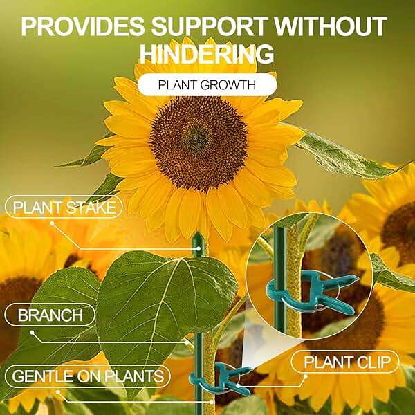 Yinghezu 40 Pcs Plant Support Clips,Flower and Vine,Garden Tomato Plant Support Clips for Supporting Stems,Vines Grow Upright Climbing,Tool for Straightening,Tomato Cage,Trellis. 2 Sizes in one Pack - Image 7