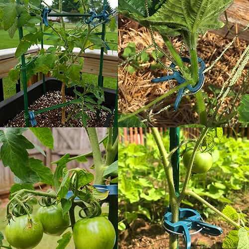 Yinghezu 40 Pcs Plant Support Clips,Flower and Vine,Garden Tomato Plant Support Clips for Supporting Stems,Vines Grow Upright Climbing,Tool for Straightening,Tomato Cage,Trellis. 2 Sizes in one Pack - Image 8