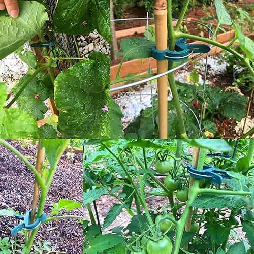 Yinghezu 40 Pcs Plant Support Clips,Flower and Vine,Garden Tomato Plant Support Clips for Supporting Stems,Vines Grow Upright Climbing,Tool for Straightening,Tomato Cage,Trellis. 2 Sizes in one Pack - Image 9