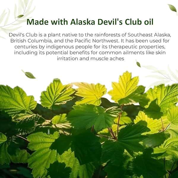 Snowy Summit Devil's Club Salve 2X - Handmade All-Natural Double Strength Muscle Rub with Light Scent - Quick Absorbing Herbal Salve with Alaskan Ingredients - 2X Potency for Effectiveness - Image 6