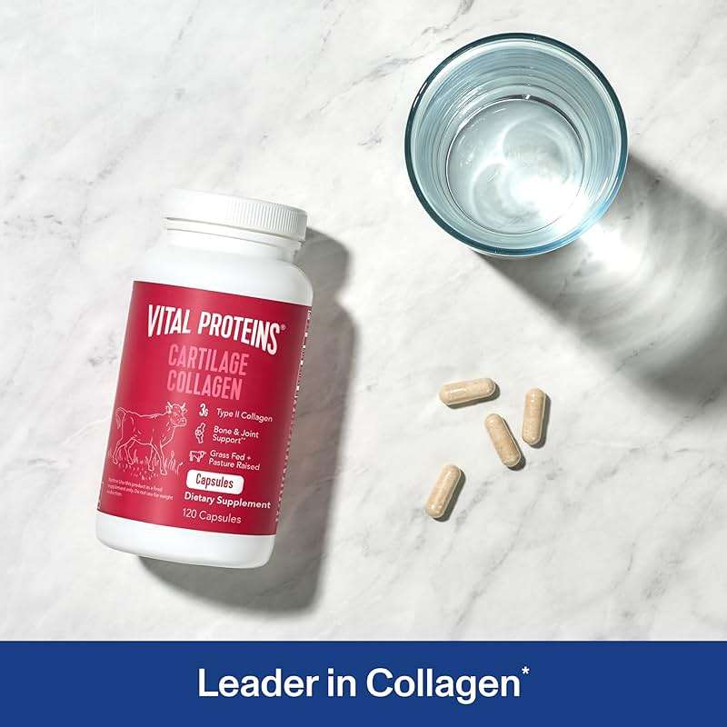 Vital Proteins Cartilage Collagen Pills, Type II Collagen & Chondroitin Sulfate Supplement for Recovery & Healthy Hair, Skin, Nails and Joints - 750 mg Serving with 120 Capsules - Image 2