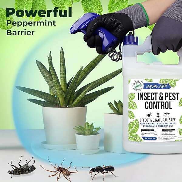 Mighty Mint Gallon (128 oz) Insect and Pest Repellent Peppermint Oil - Natural Spray for Spiders, Ants, and More - Image 3