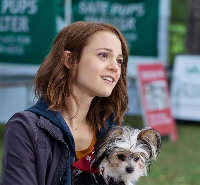 A Dog's Journey / A Dog's Purpose 2-Movie Collection [DVD] - Image 6