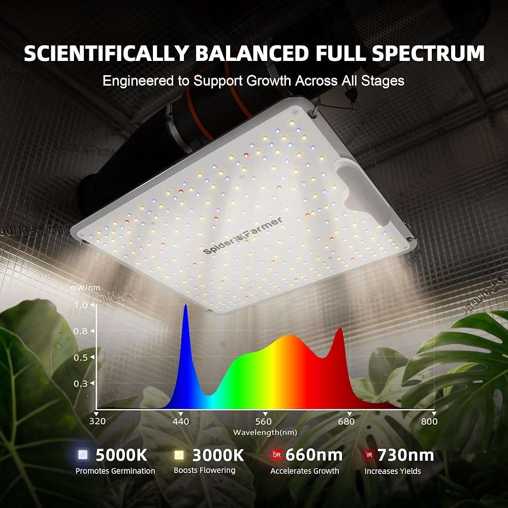 Spider Farmer SF1000 100W LED Grow Light for Indoor Plants, Upgraded High Efficiency LEDs, Dimmable Full Spectrum High PPFD, Deep Penetration for Seed Starting/Vegetables/Bloom in 2x2/3x3 Grow Tent - Image 5