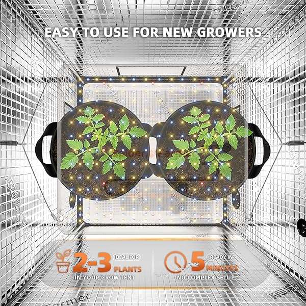 Spider Farmer SF1000 100W LED Grow Light for Indoor Plants, Upgraded High Efficiency LEDs, Dimmable Full Spectrum High PPFD, Deep Penetration for Seed Starting/Vegetables/Bloom in 2x2/3x3 Grow Tent - Image 6