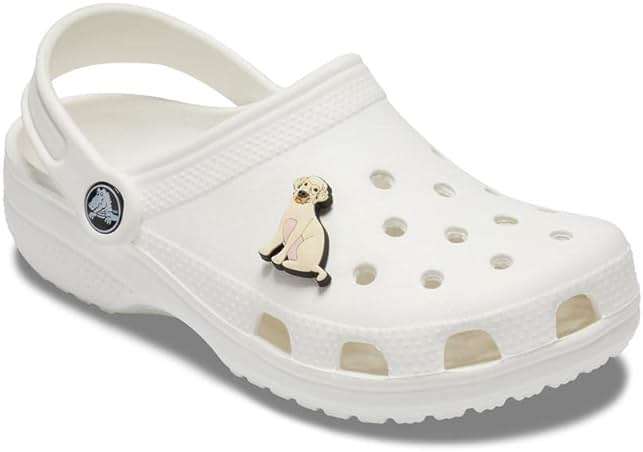 Crocs Jibbitz Pet Shoe Charms| Jibbitz for Crocs, Yellow Lab, Small - Image 3