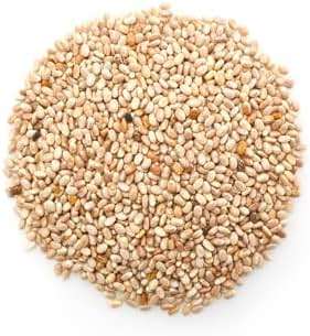 Yupik Raw White Chia Seeds, 2.2 lb (35.2 oz), Gluten-Free, Kosher, Vegan, Natural Seeds, Plant-Based Superfood, Rich in Fiber, Source of Omega-3, Ideal for Chia Pudding & Smoothies, Gels Easily - Image 3