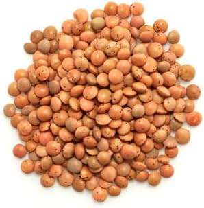 Yupik Organic Brown Lentils, 2.2 lb (35.2 oz), Non-GMO, Vegan, Gluten-Free, Kosher, Raw, Salt-Free, High in Fiber & Protein, Ideal for Soups, Salads & Meat Alternatives - Image 4