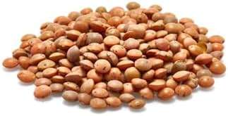 Yupik Organic Brown Lentils, 2.2 lb (35.2 oz), Non-GMO, Vegan, Gluten-Free, Kosher, Raw, Salt-Free, High in Fiber & Protein, Ideal for Soups, Salads & Meat Alternatives - Image 5
