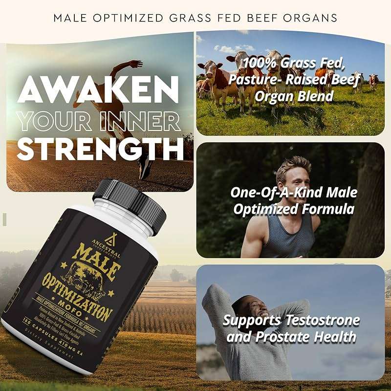 Ancestral Supplements Mofo, Supplements for Men, Support for Energy Levels and Overall Men's Health and Wellness, Non-GMO Grass Fed Beef Organ Supplement with Liver, No Fillers, 180 Capsules - Image 2