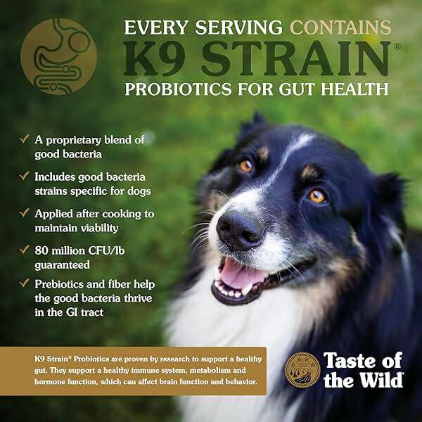 Taste of the Wild with Ancient Grains, Ancient Prairie Canine Recipe with Roasted Bison and Venison Dry Dog Food, Made with High Protein from Real Meat and Guaranteed Nutrients and Probiotics 28lb - Image 6