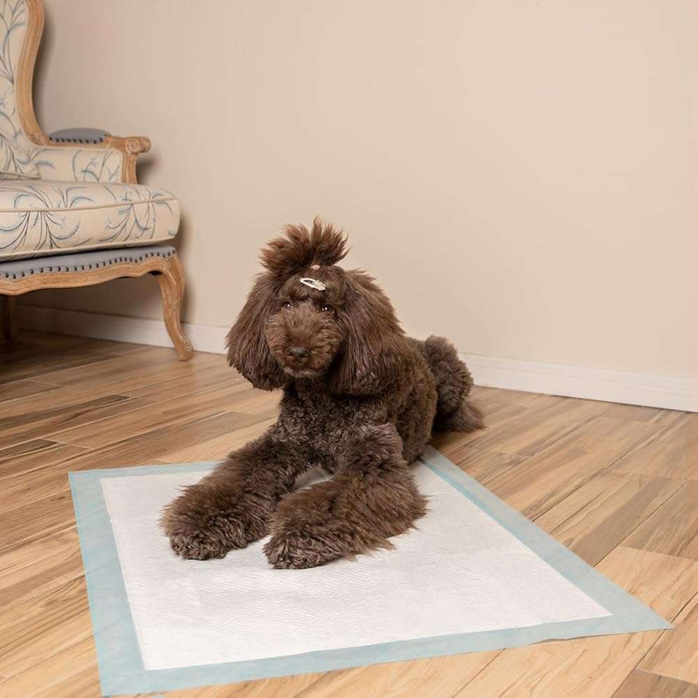 Best Pet Supplies XL (36 x 28 Inches) Puppy Pads 100 Count - Super Absorbent Dog Training Pads, Quick-Dry, Odor Control, Disposable Pee Pads, Leak-Proof Wee Wee Pads for Indoor Dogs – Baby Blue - Image 8