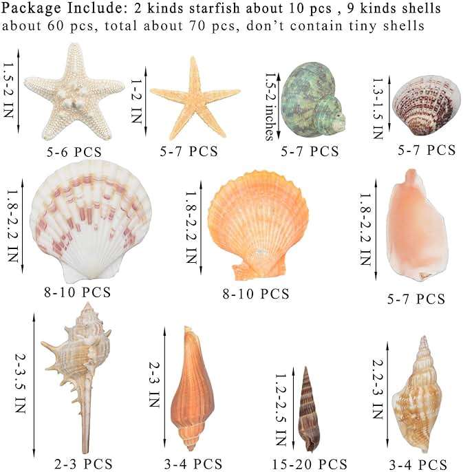 Sea Shells Mixed Beach Seashells 9 Kinds 1.2"-3.5 "Various Sizes Natural Seashells and 2 Kinds of Natural Starfish for Beach Themed Party DIY Crafts Fishtank Vase Fillers Home Wedding Decorations - Image 4