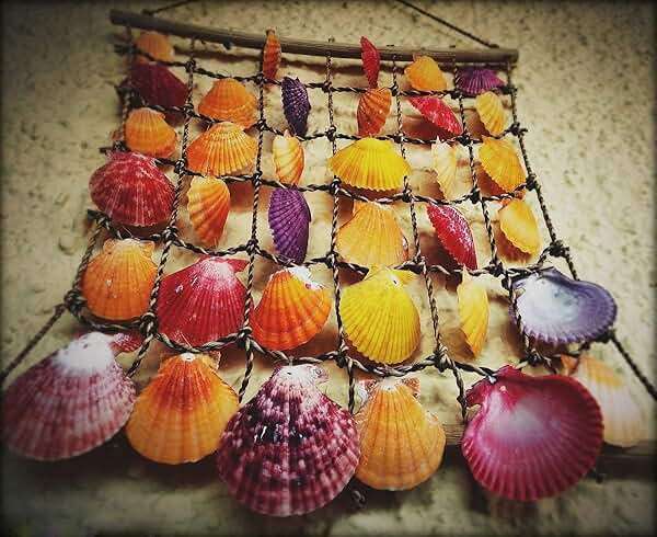 Sea Shells Mixed Beach Seashells 9 Kinds 1.2"-3.5 "Various Sizes Natural Seashells and 2 Kinds of Natural Starfish for Beach Themed Party DIY Crafts Fishtank Vase Fillers Home Wedding Decorations - Image 8