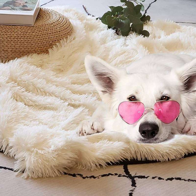 Tuddrom Decorative Extra Soft Fuzzy Faux Fur Throw Blanket 50" x 60",Solid Reversible Long Hair Shaggy Blanket,Fluffy Cozy Plush Comfy Microfiber Fleece Blankets for Couch Sofa Bedroom,Cream White - Image 7