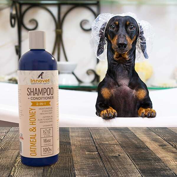 Innovet Pet Products All Natural Oatmeal & Honey Shampoo + Conditioner for Dogs Cats & Small Pets - 16 Oz - No Tear Shampoo for Allergies, Sensitive, Dry Itchy Skin Relief | Made in USA - Image 2