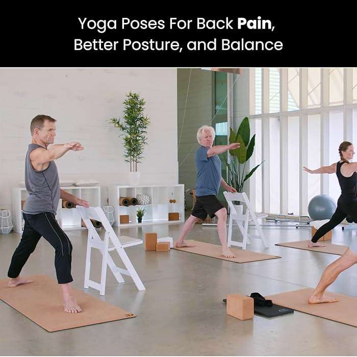 Yoga Vitality - Chair Yoga For Seniors, Older Adults, and Absolute Beginners | Made For Healthy Aging, Improved Mobility, Joint Health, Balance, Pain Relief, and Injury Prevention | 4 Levels - Image 6