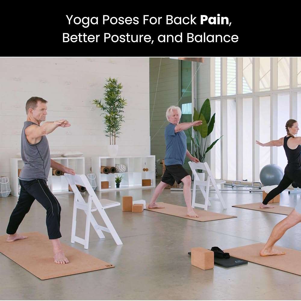 Yoga Vitality - Chair Yoga For Seniors, Older Adults, and Absolute Beginners | Made For Healthy Aging, Improved Mobility, Joint Health, Balance, Pain Relief, and Injury Prevention | 4 Levels - Image 6