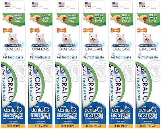 Nylabone Advanced Oral Care Natural Toothpaste - Image 1