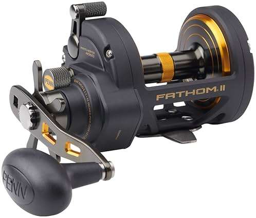 Penn Fathom II Star Drag Reel, Size 40 Fishing Reel, Right Handle Position, Black Gold - Image 1