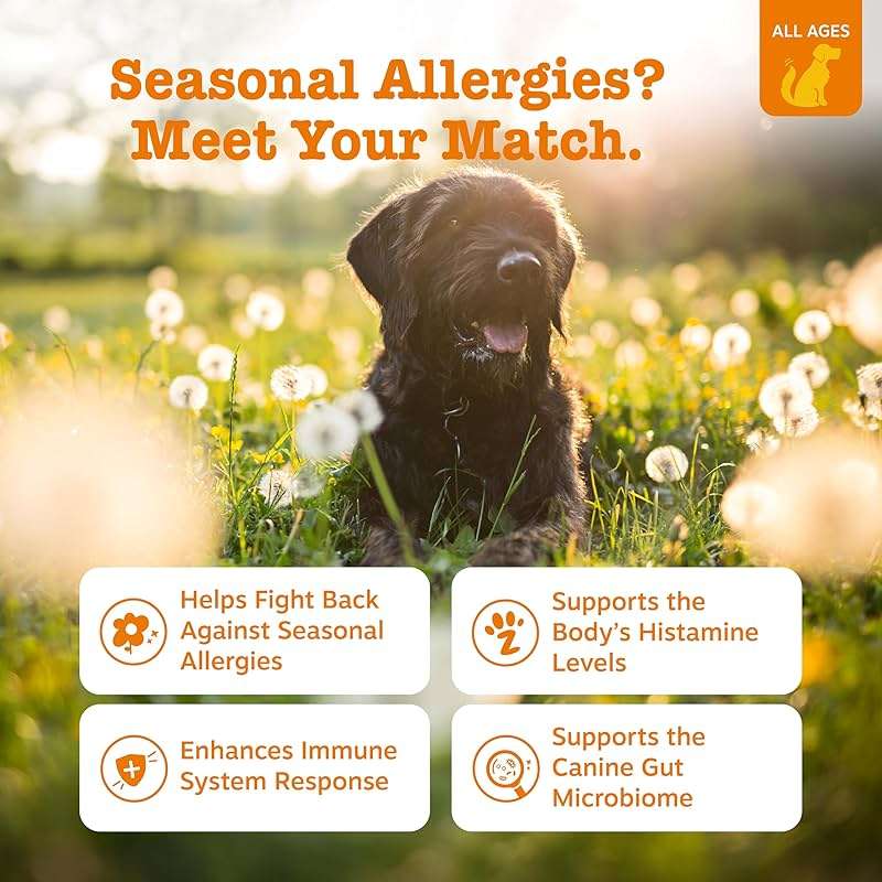 Zesty Paws Dog Allergy Relief Chews, Dog Probiotics for Itchy Skin and Ears, Salmon, 90ct - Image 2