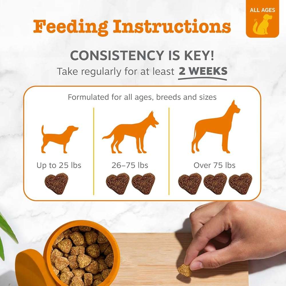 Zesty Paws Dog Allergy Relief Chews, Dog Probiotics for Itchy Skin and Ears, Salmon, 90ct - Image 4