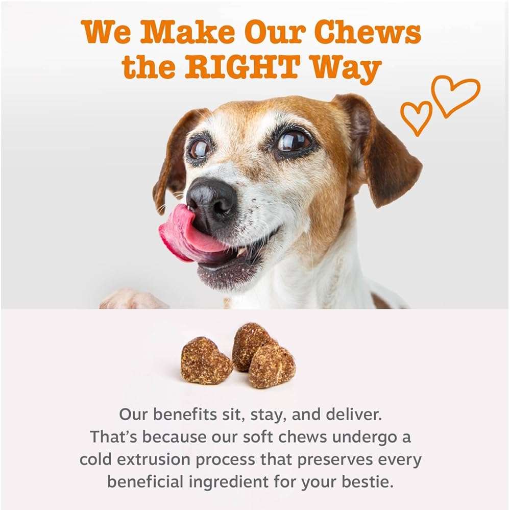 Zesty Paws Dog Allergy Relief Chews, Dog Probiotics for Itchy Skin and Ears, Salmon, 90ct - Image 5