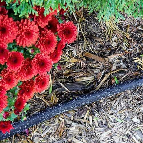 Gilmour 50' Flat Weeper/Soaker Garden Hose - Sprinkler Watering - Water Hoses (3) - Image 8