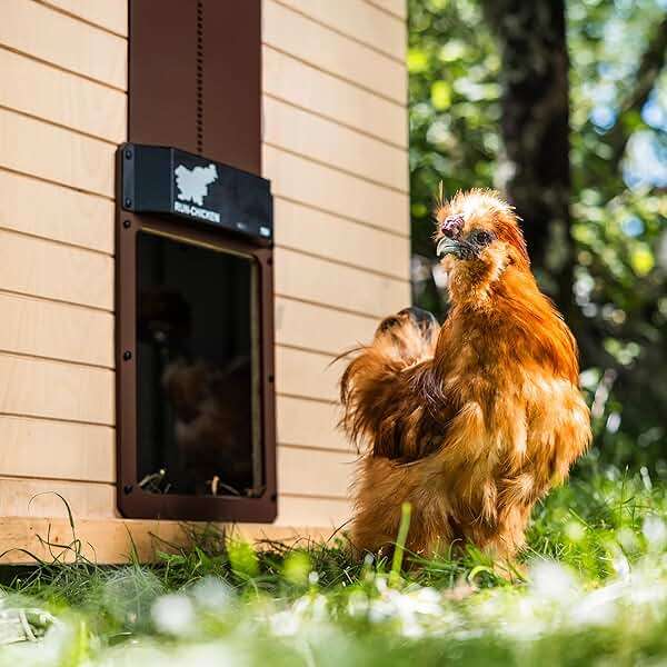 RUN-CHICKEN Door T50 – Automatic Chicken Coop Door Opener, Battery Powered & Weatherproof Aluminum, Smart App & Timer Control, Predator Proof, Easy Install, Reliable All-Season Performance (Brown) - Image 3