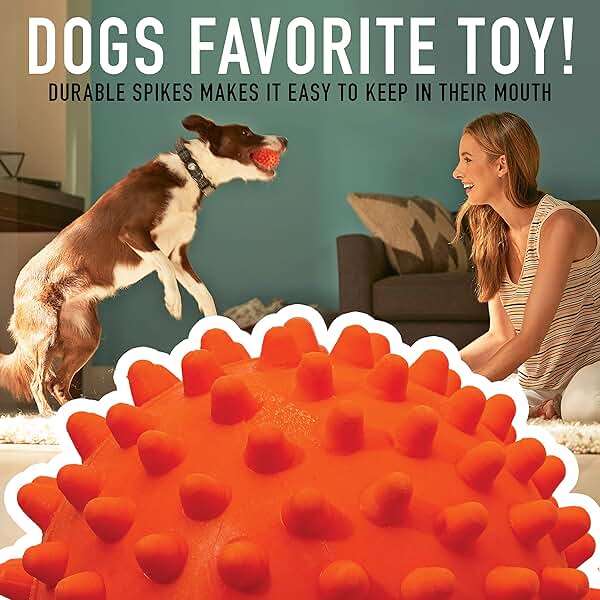 Franklin Pet Supply Co. Ready Set Fetch All Weather Ball - Launcher Ball - Slobber and Water Resistant,Orange - Image 2