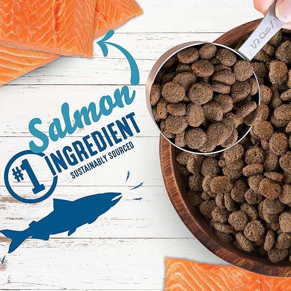 Earthborn Holistic Unrefined Smoked Salmon with Ancient Grains & Superfoods Dry Dog & Puppy Food - Image 3