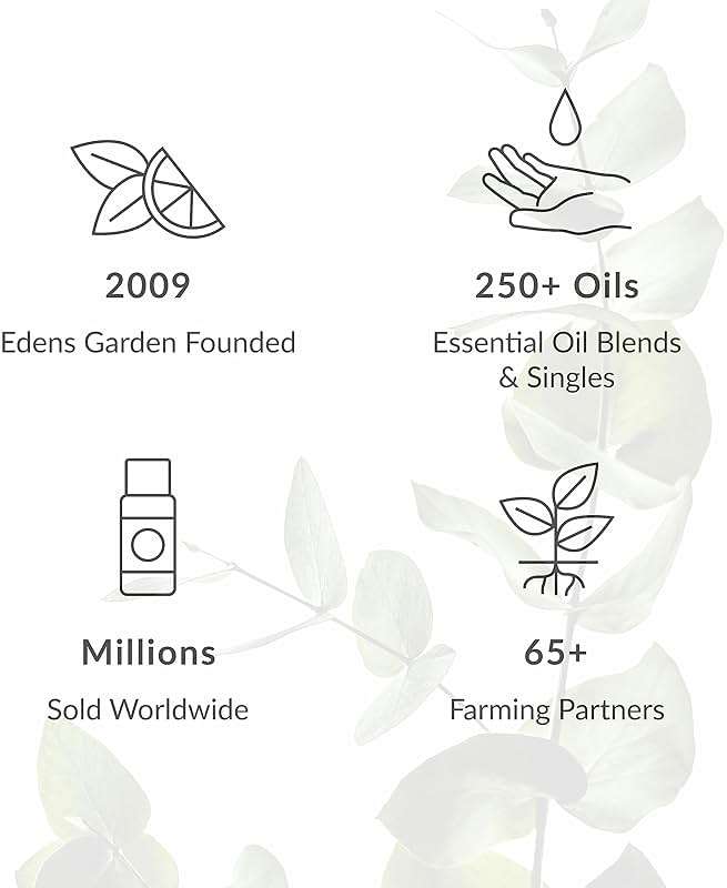 Edens Garden Health & Wellness Essential Oils 3 Set – 100% Pure Therapeutic Grade, Natural Undiluted Aromatherapy Blends - Oil for Immune Support, Household Cleaning & Air Freshening, 10 ml/ 3 Pack - Image 5