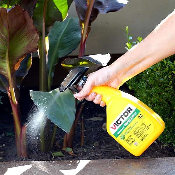Victor Mouse and Rat Repellent Spray - M809 - Natural, Non-Toxic Rodent Repellent Spray for Indoor and Outdoor Use - Ready to Use - 32 fl oz Bottle - Up to 67 Linear Ft Coverage - Image 2