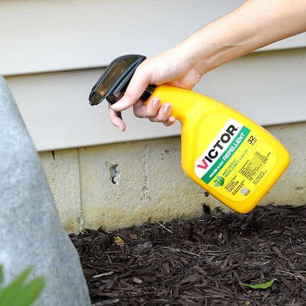 Victor Mouse and Rat Repellent Spray - M809 - Natural, Non-Toxic Rodent Repellent Spray for Indoor and Outdoor Use - Ready to Use - 32 fl oz Bottle - Up to 67 Linear Ft Coverage - Image 11