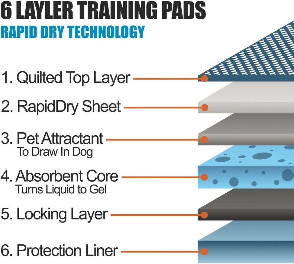 BV Puppy Pads XL 40 Count 34"x28" - Leak-Proof Pee Pads for Dogs with 6-Layer Design, Rapid Dry Sheet & Attractant - Dog Pad Extra Large with Odor Control - Perfect for Big Dogs & Indoor Use - Image 3