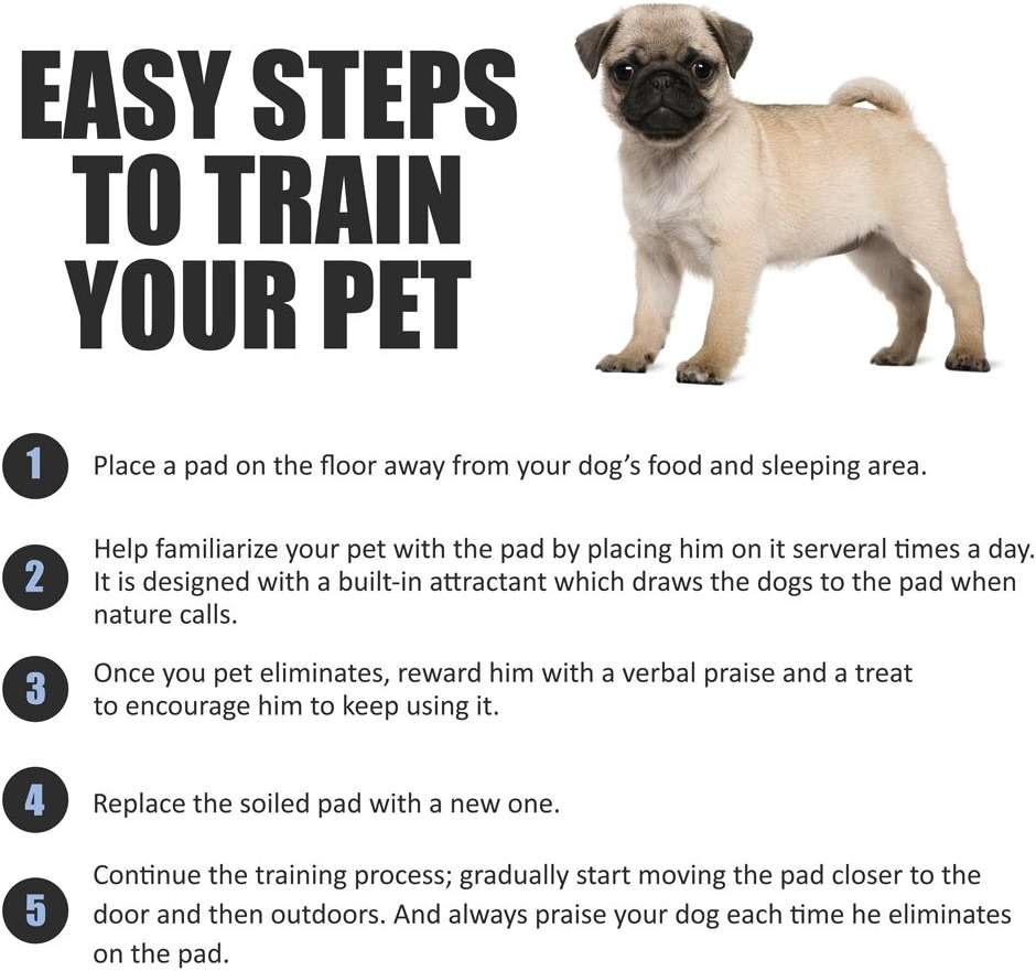 BV Puppy Pads XL 40 Count 34"x28" - Leak-Proof Pee Pads for Dogs with 6-Layer Design, Rapid Dry Sheet & Attractant - Dog Pad Extra Large with Odor Control - Perfect for Big Dogs & Indoor Use - Image 6