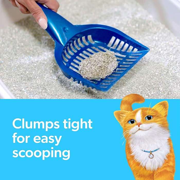Fresh Step Advanced Simply Unscented Multi Cat Clumping Cat Litter, Low Dust, Odor Control with Activated Charcoal Tech, Compatible in Automatic Litter Boxes, 37 lbs. (2 x 18.5 lb.) - Image 11