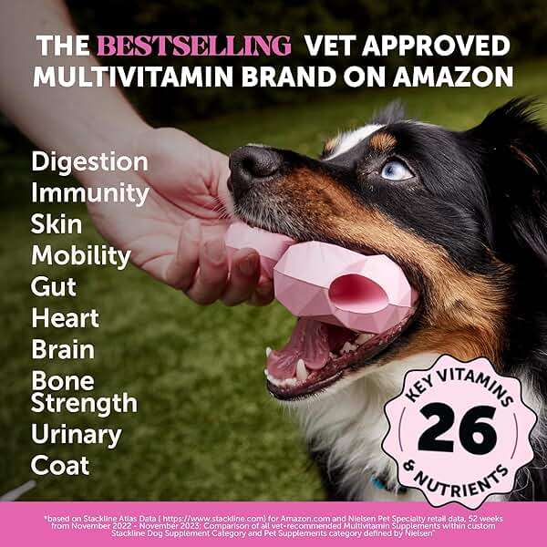 10-in-1 Dog Multivitamin Supplement with Glucosamine & Probiotics - Hip & Joint Support, Digestive Health, Immune Support, Heart & Skin - All-in-One Daily Vitamins & Omega-3s (Peanut Butter, 90 ct) - Image 2
