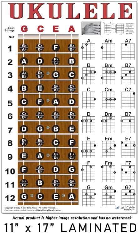 Laminated Ukulele Fretboard & Chord Chart Poster for Beginners 11x17 | Soprano Concert Tenor | gCEA Tuning | Essential Chords | Durable Easy to Read | Perfect Uke Gift | Made in USA | A New Song Music - Image 3
