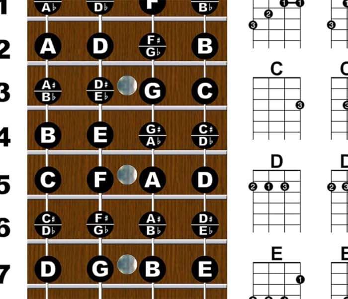 Laminated Ukulele Fretboard & Chord Chart Poster for Beginners 11x17 | Soprano Concert Tenor | gCEA Tuning | Essential Chords | Durable Easy to Read | Perfect Uke Gift | Made in USA | A New Song Music - Image 5