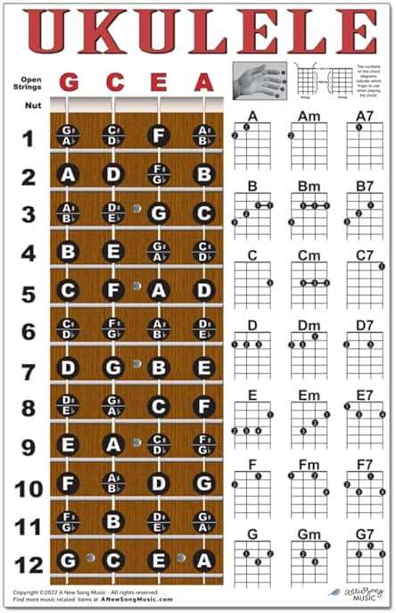 Laminated Ukulele Fretboard & Chord Chart Poster for Beginners 11x17 | Soprano Concert Tenor | gCEA Tuning | Essential Chords | Durable Easy to Read | Perfect Uke Gift | Made in USA | A New Song Music - Image 6
