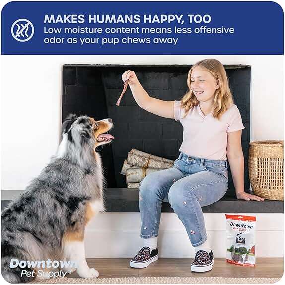 Downtown Pet Supply USA-Made 12-inch Bully Sticks for Dogs, 1 LB - No Hide Dog Chews Long Lasting and Non-Splintering - Nutrient-Rich, Single Ingredient and Odor Free Bully Sticks for Dogs - Image 5