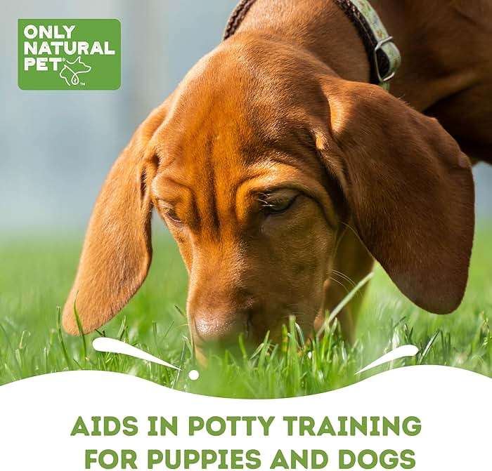 ONLY NATURAL PET No Marking Deterrent Spray for Dogs – Indoor Outdoor Urine Prevention - Stain & Odor Eliminator - Potty Pet Training Aid to Deter Peeing or Marking Carpet or Furniture – 32 Fl Oz - Image 5